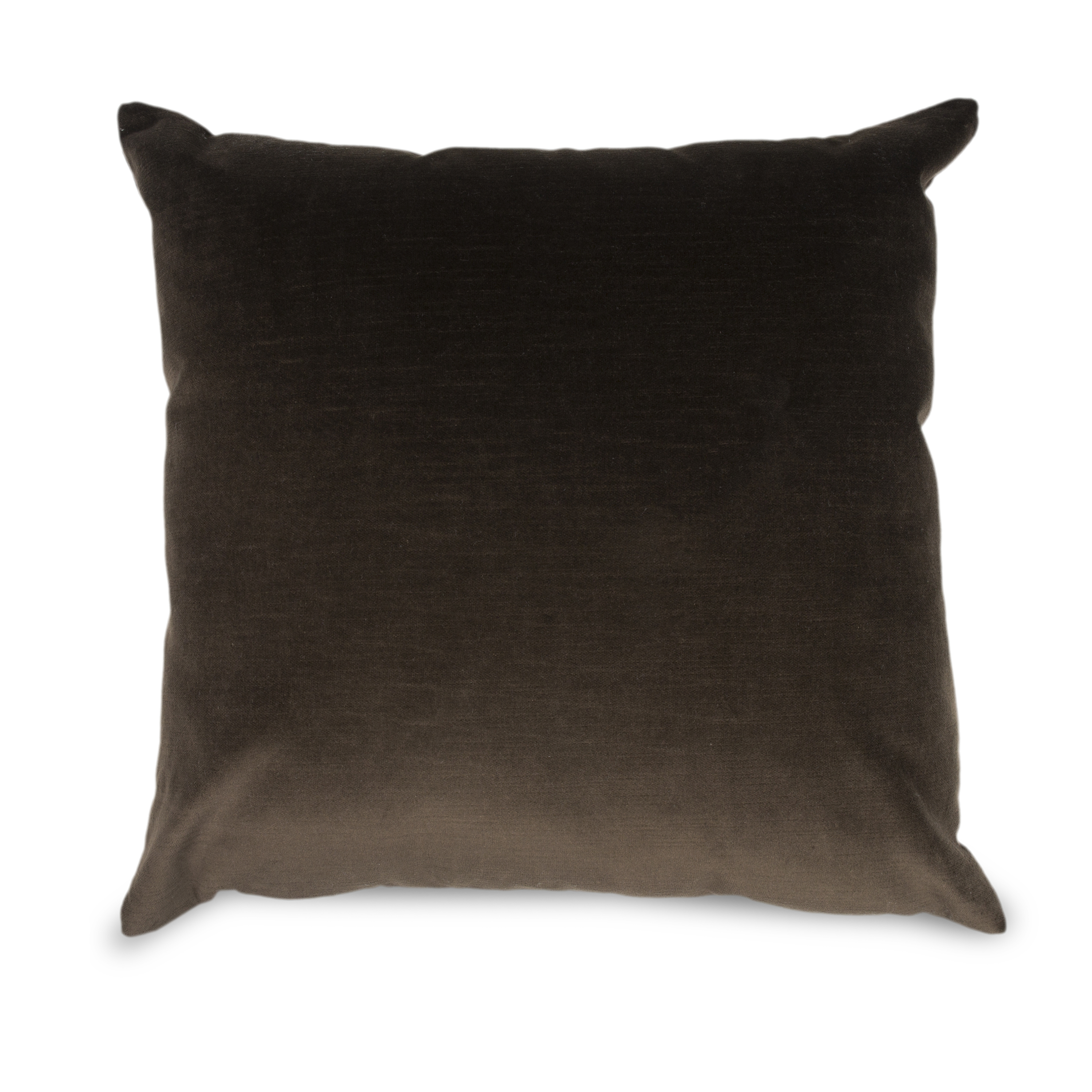 Solid Velvet Pillow